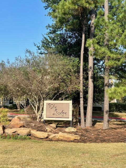 14381 Whitetop Peak Court Conroe, TX 77384 - Photo 35 of 39 a view of swimming pool with a yard and large trees