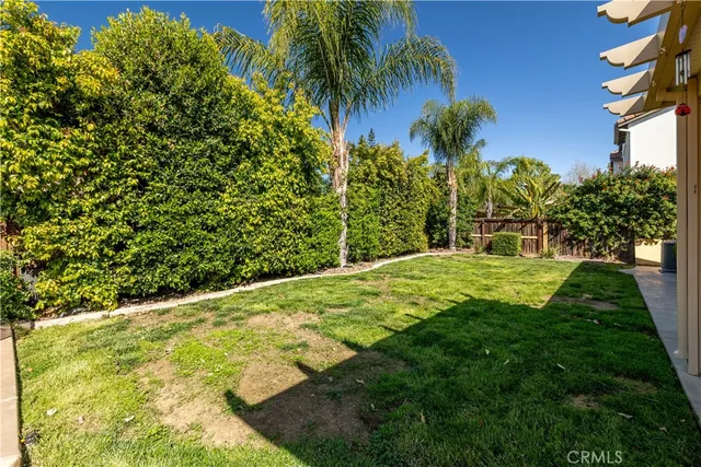 a view of a yard with plants