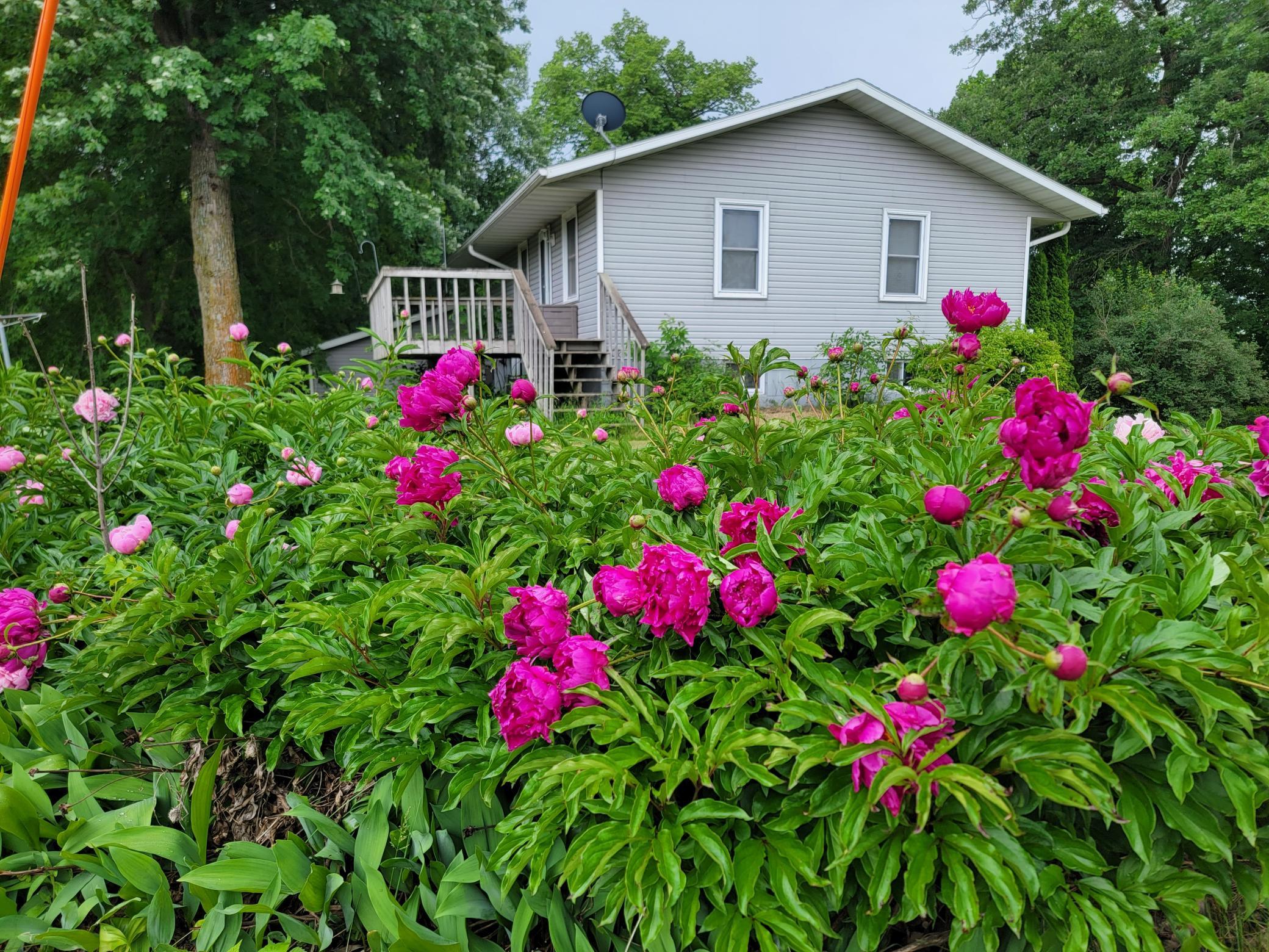 40130 460th Avenue Perham, MN 56573 - Photo 27 of 45