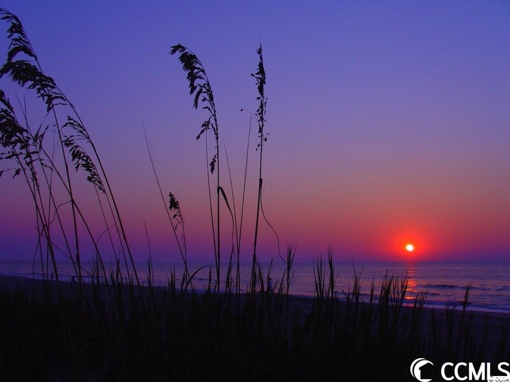 3101 Sistine Street Myrtle Beach, SC 29579 - Photo 18 of 20