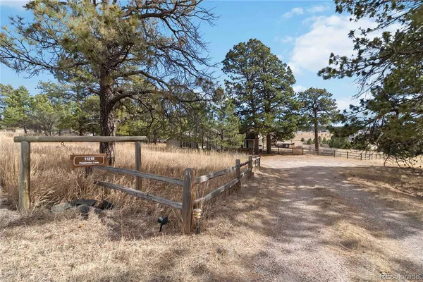 a view of outdoor space with trees