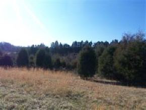 580 Bewley Road Mosheim, TN 37818 - Photo 3 of 5 Photo 3