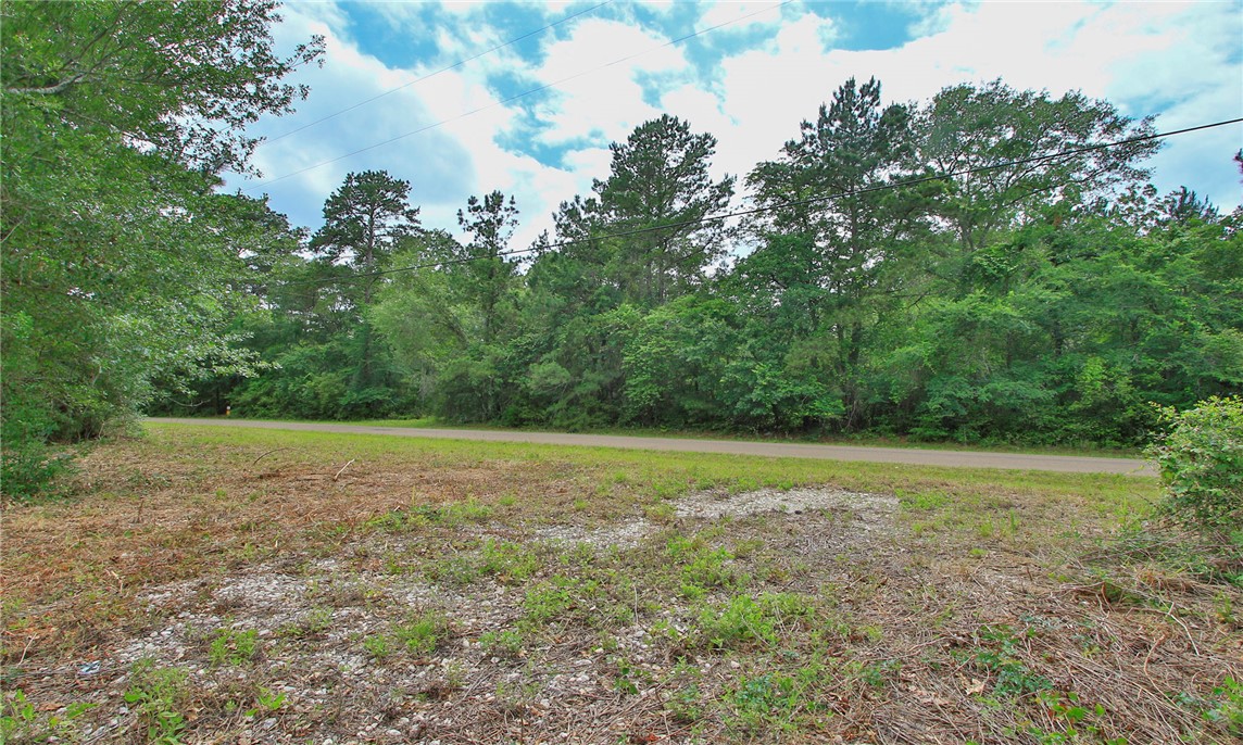 5914 Carter Road Waller, TX 77484 - Photo 36 of 41