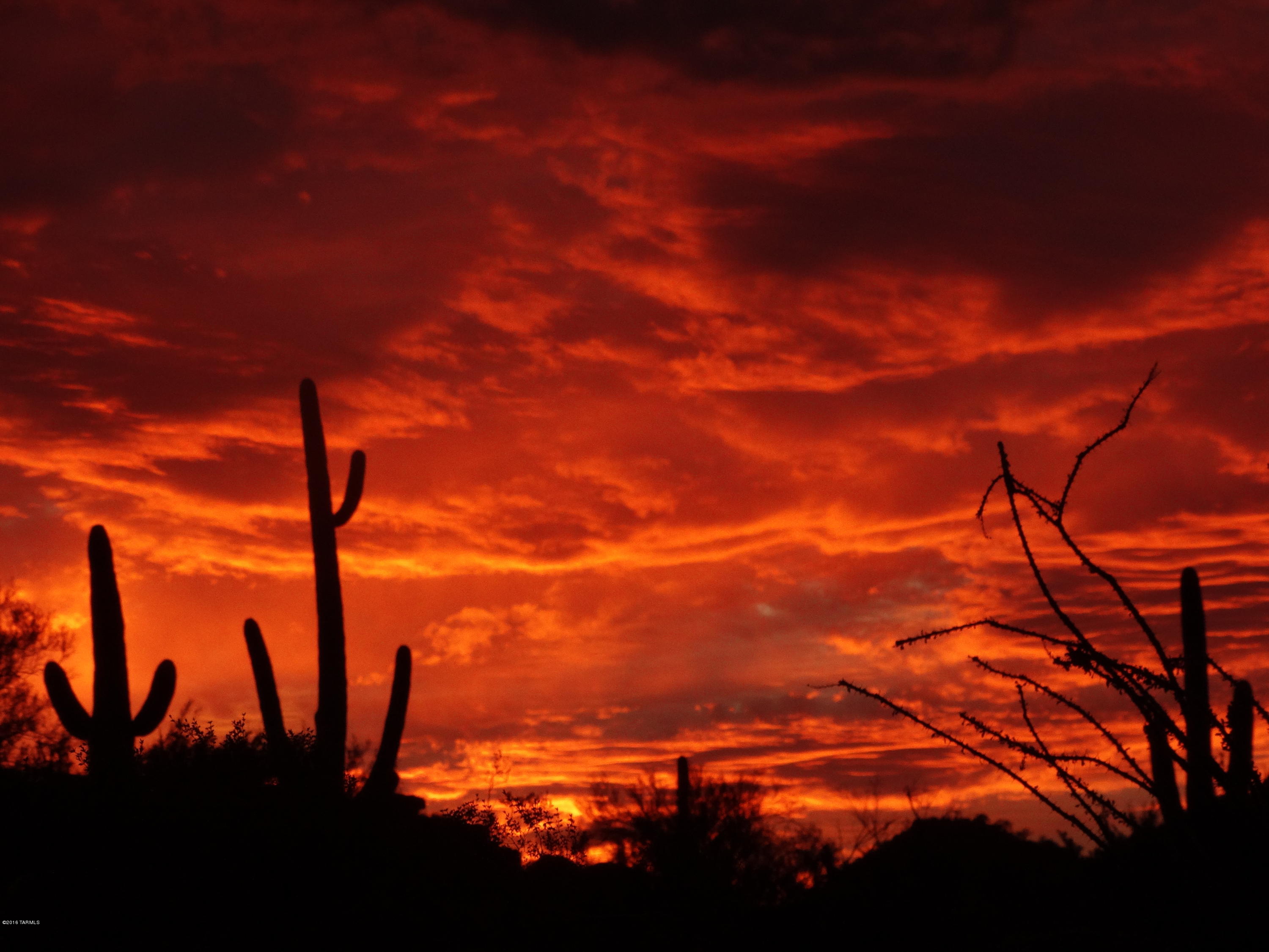 6851 North Wade Road Tucson, AZ 85743 - Photo 15 of 41 Gallery Image 15