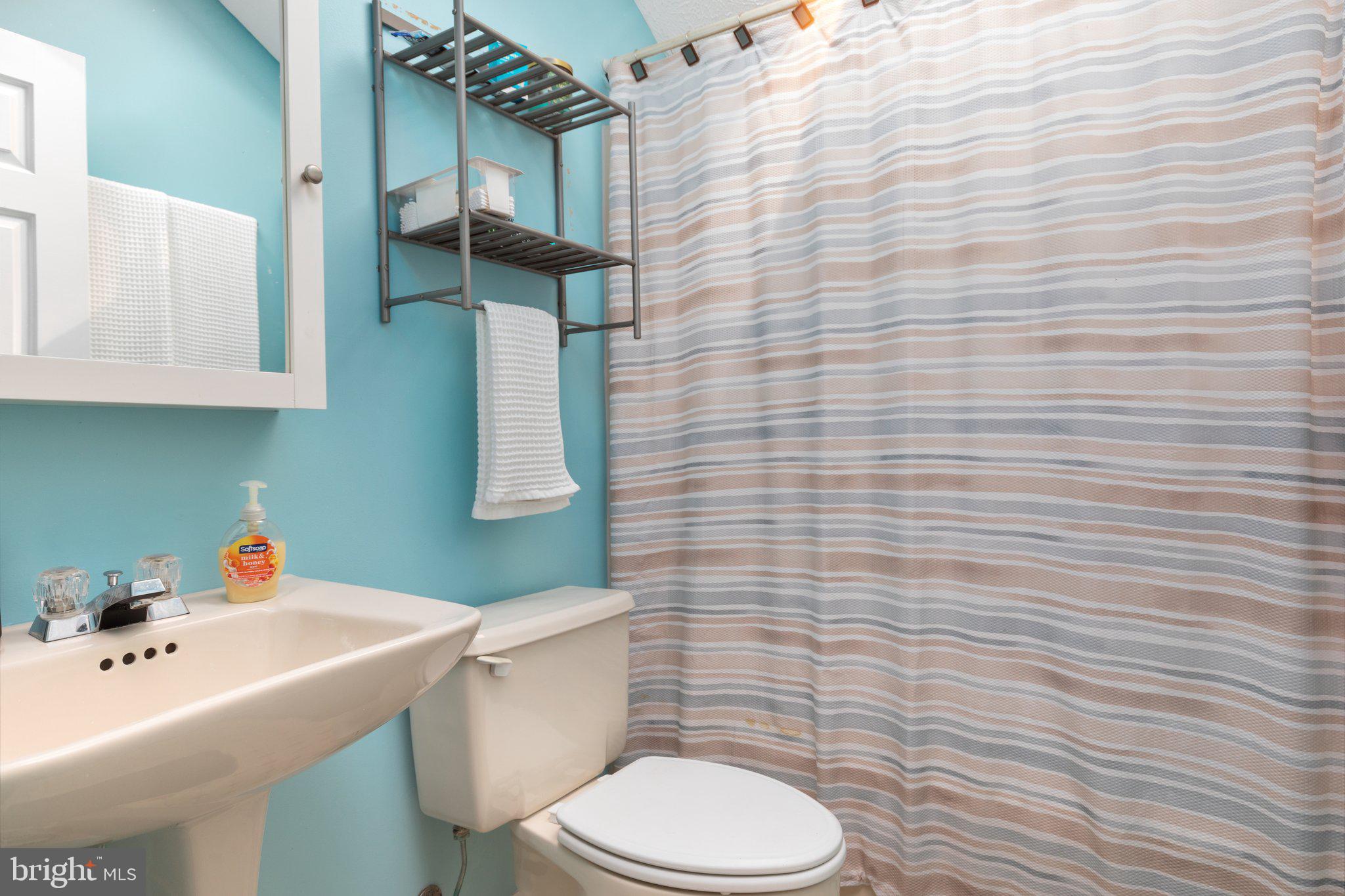 248 Fairway Circle Cross Junction, VA 22625 - Photo 47 of 66 Secondary suite bath