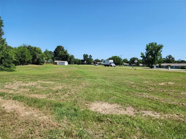 a view of a big yard with a large trees and plants