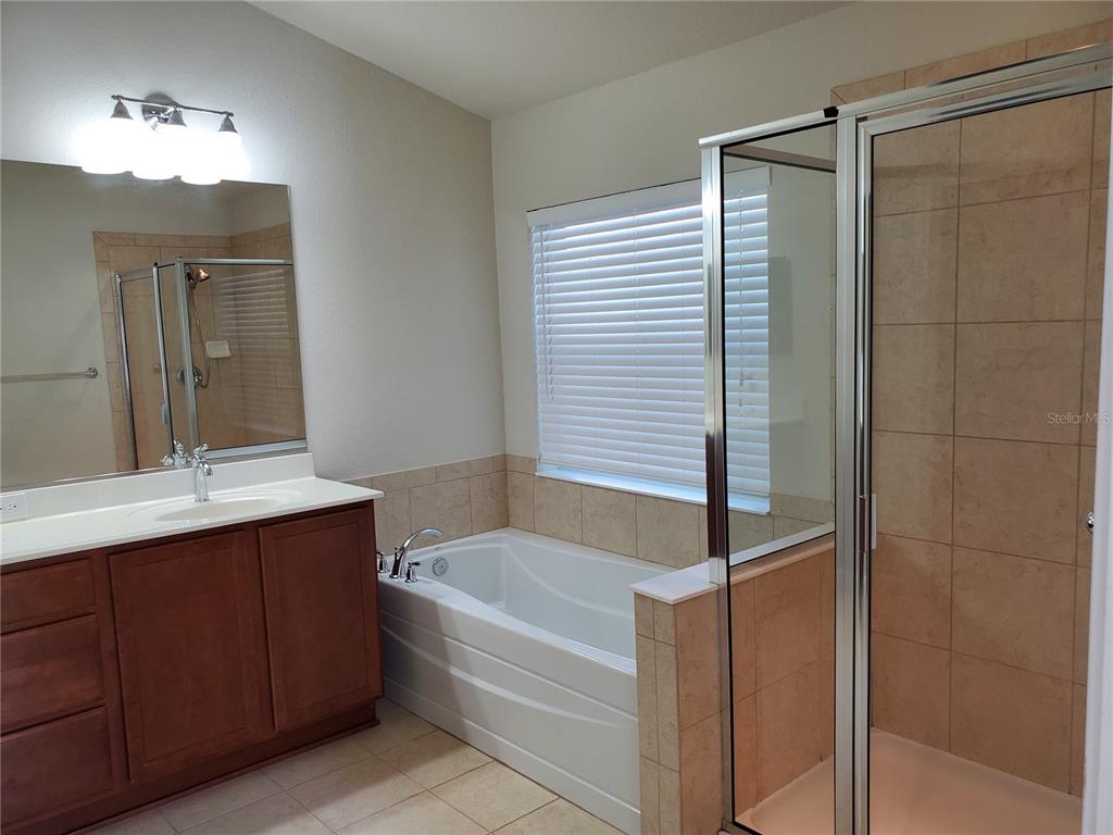 4079 Southwest 47th Court Ocala, FL 34474 - Photo 7 of 31 a bathroom with a bathtub and a sink