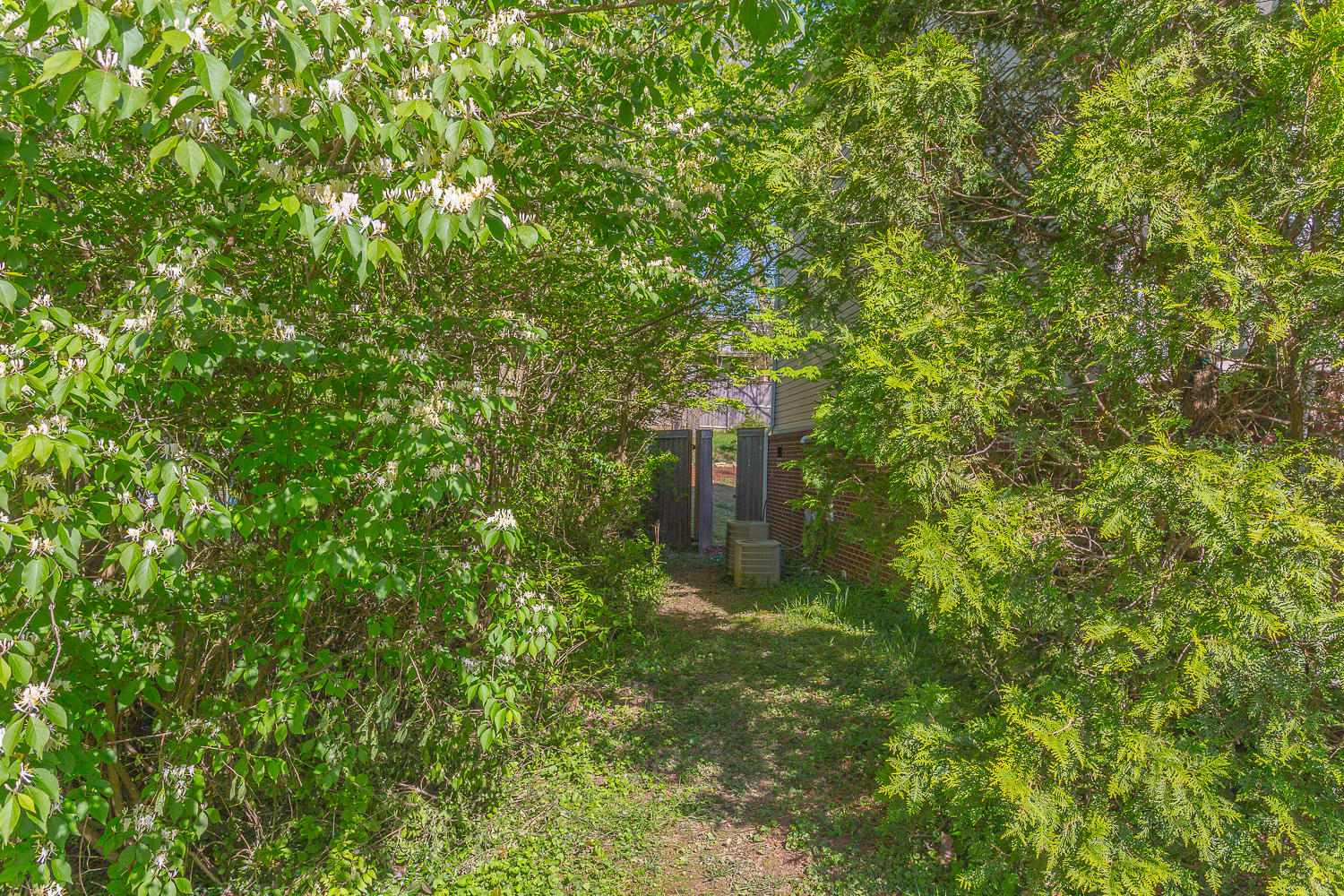1011 Signal Road Signal Mountain, TN 37377 - Photo 6 of 42 1011 Signal Road-7