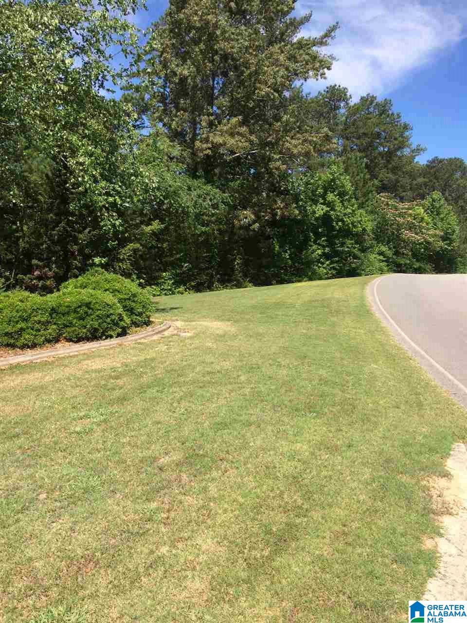 0 Azalea Hills Drive, Unit 6 Oneonta, AL 35121 - Photo 1 of 3