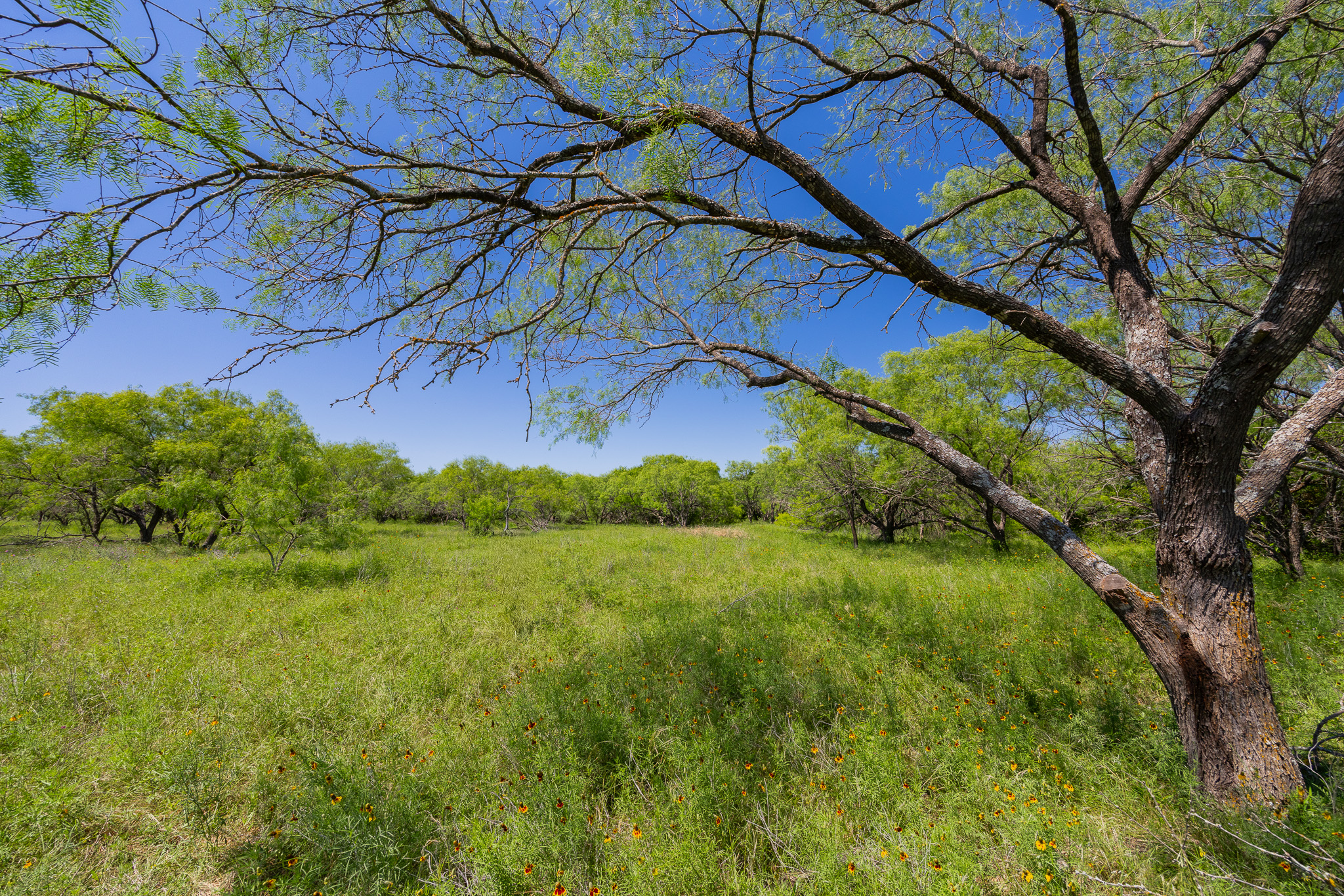 180 Rd Purmela Tx 76566 Road Purmela, TX 76566 - Photo 11 of 27 Gallery Image 11