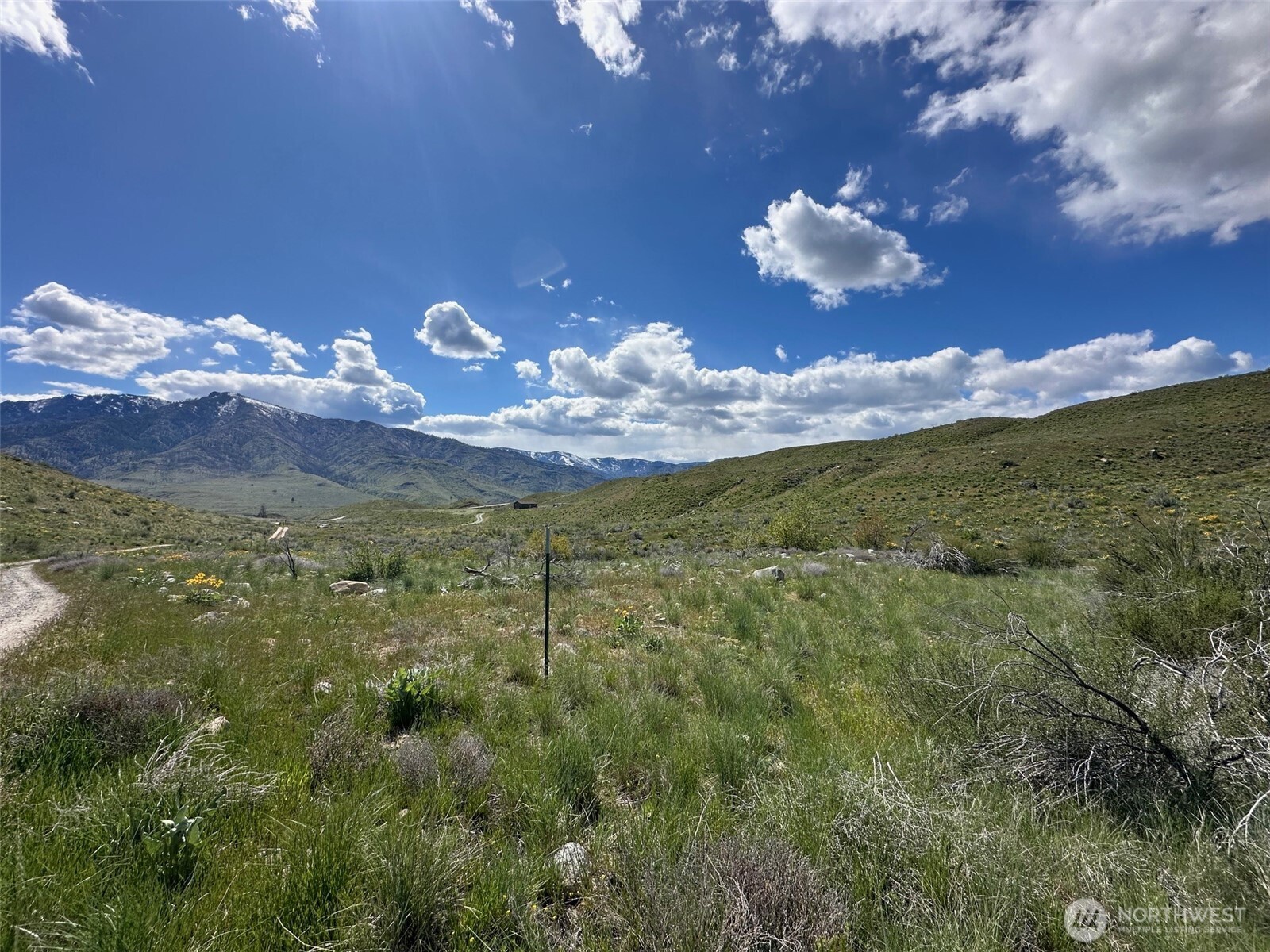 0 Bill Shaw Road Pateros, WA 98846 - Photo 5 of 10 a view of a yard in front of a house