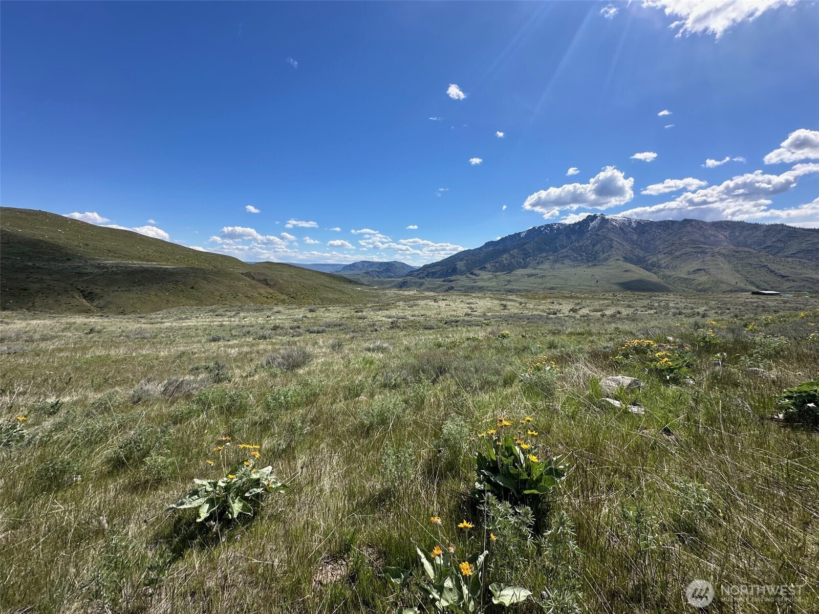 0 Bill Shaw Road Pateros, WA 98846 - Photo 9 of 10 a view of a house with a yard and mountain view