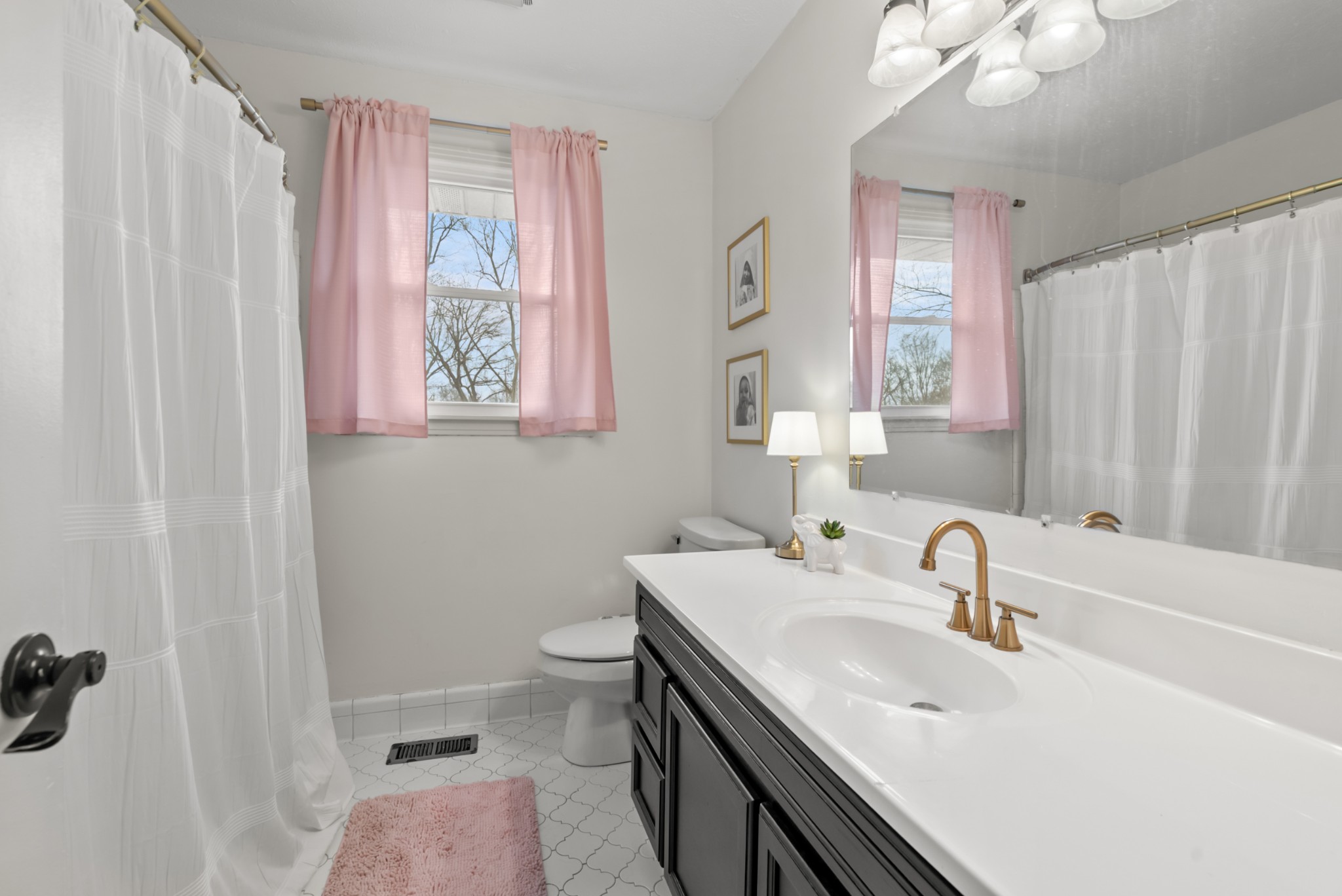 4005 Fawn Drive Springfield, TN 37172 - Photo 21 of 40 a bathroom with a sink a toilet and a tub