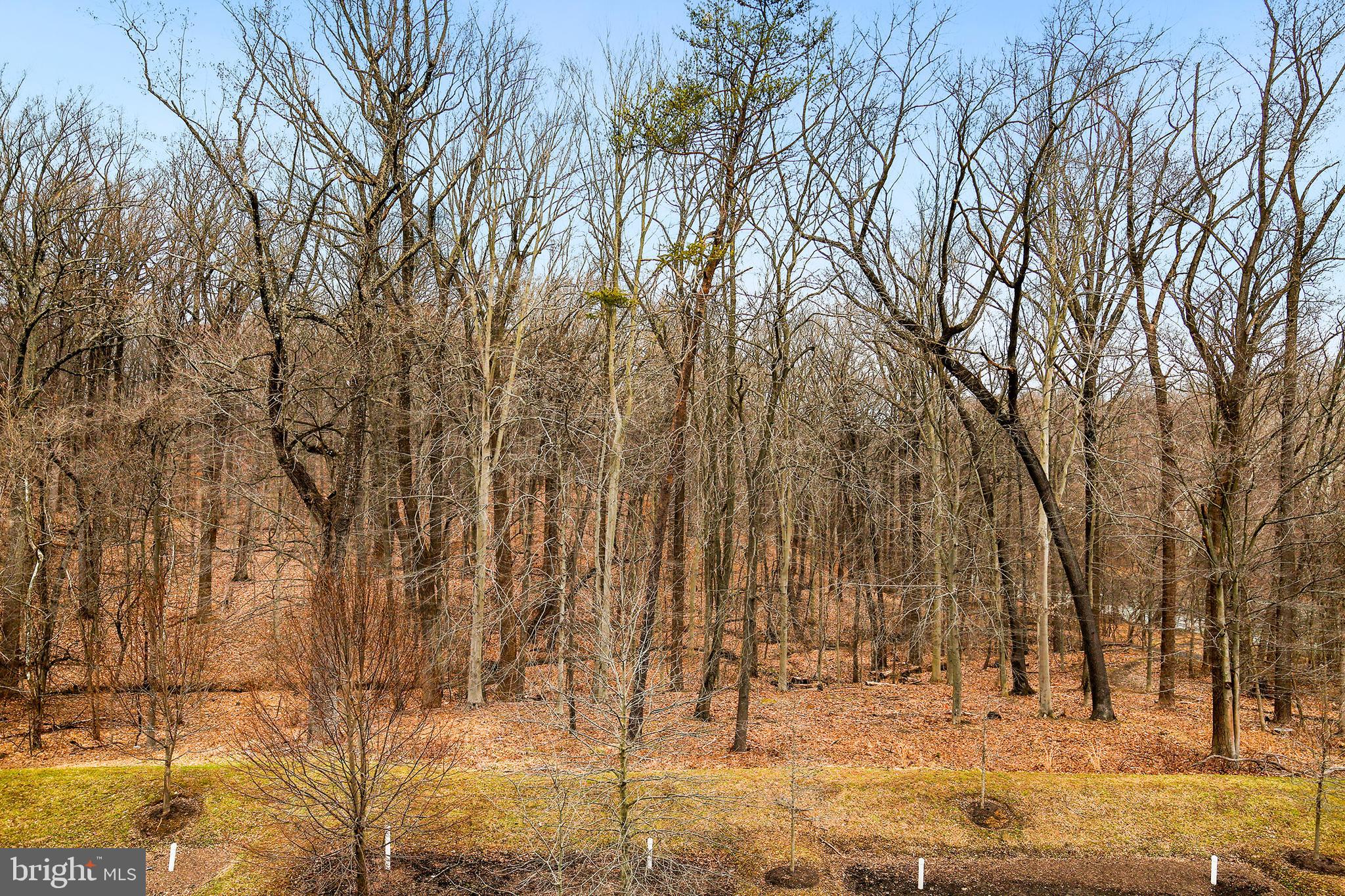 9344 Rock Ripple Lane Laurel, MD 20723 - Photo 35 of 35 Gallery Image 35