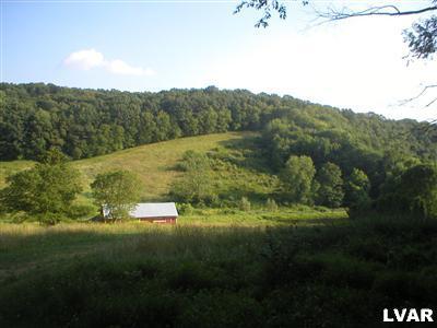0 Kunkels Mill Road Kempton, PA 19529 - Photo 14 of 15 View south from wooded site.