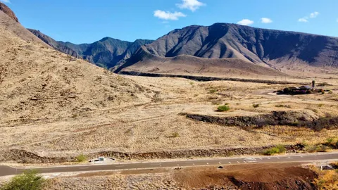 a view of a dry yard with wooden fence