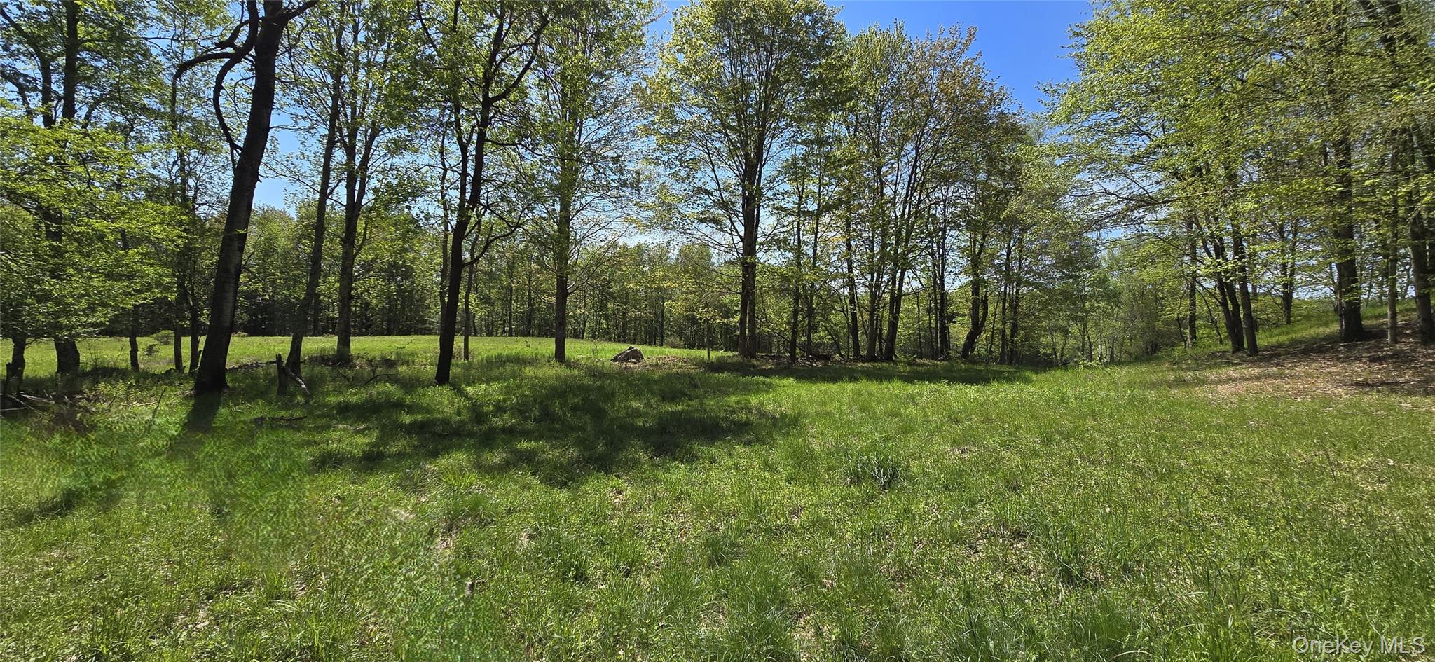 26 Beckys Hill Road Loch Sheldrake, NY 12759 - Photo 40 of 48
