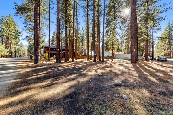 a view of a yard with large trees
