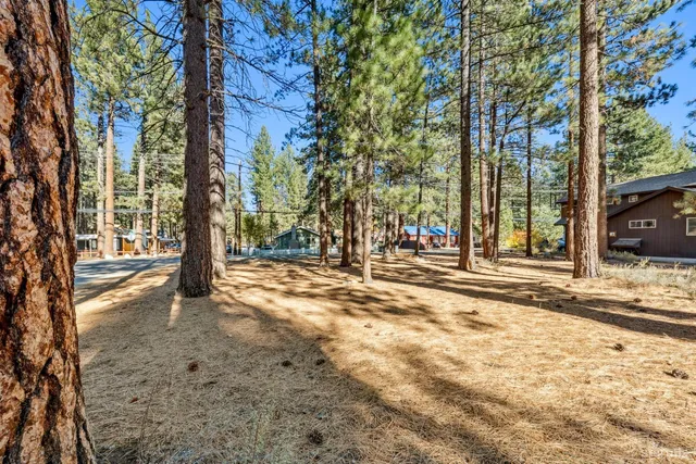 a view of a yard with trees
