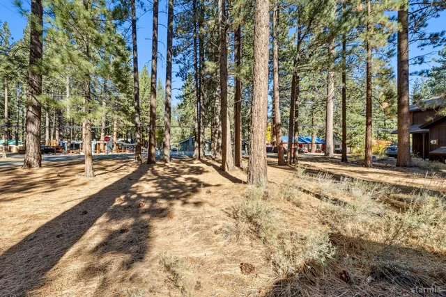 a view of a yard with large trees