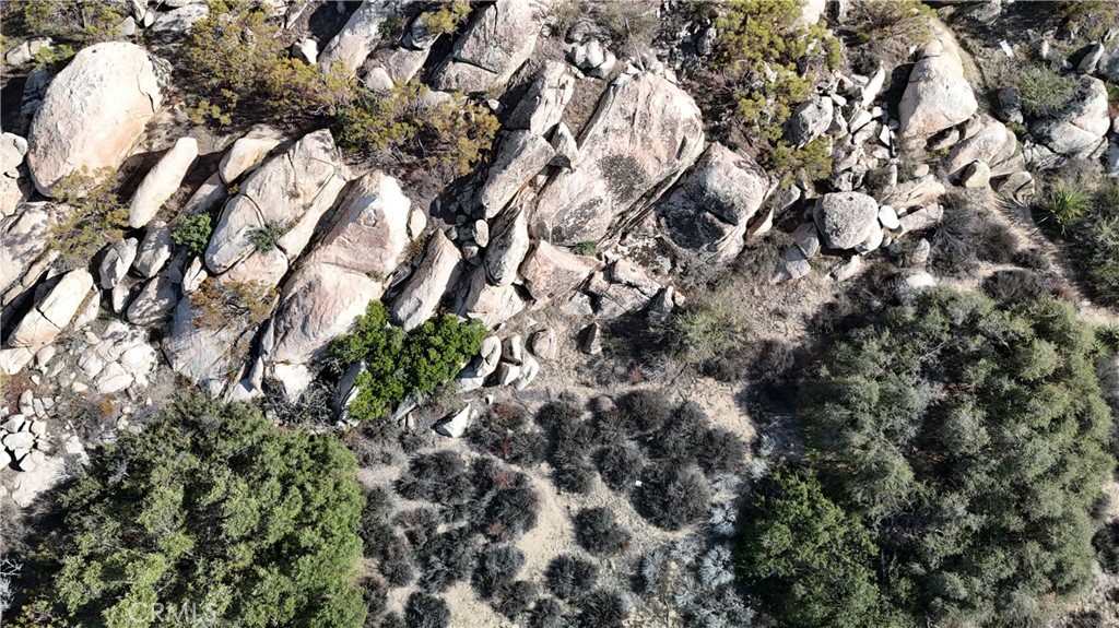 1 Ridgecrest Aguanga, CA 92536 - Photo 24 of 27 a view of a tree