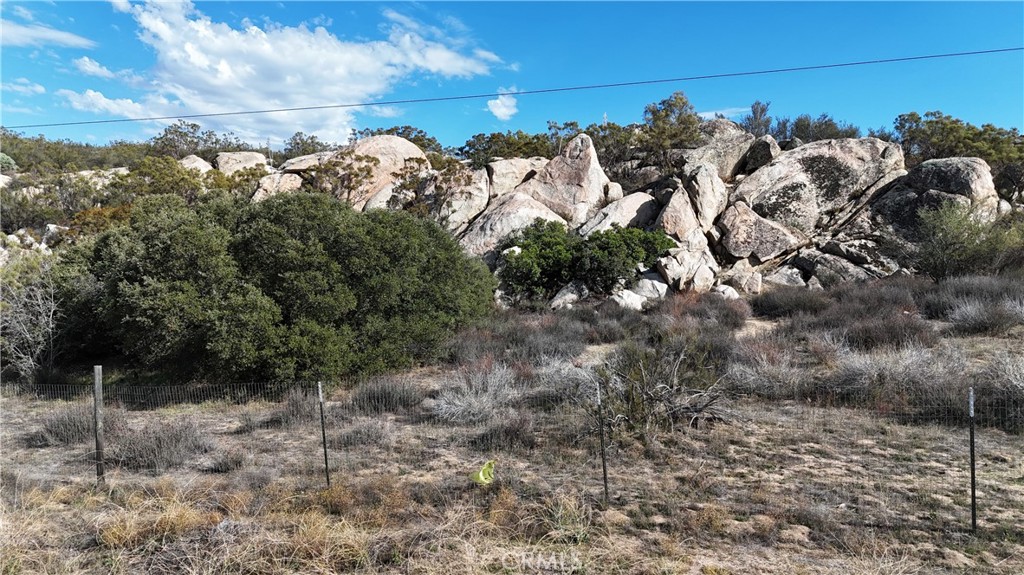 1 Ridgecrest Aguanga, CA 92536 - Photo 4 of 27 a view of a yard with wooden fence