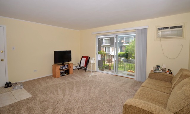 10320 South Ridgeland Avenue, Unit 207 Chicago Ridge, IL 60415 - Photo 3 of 19