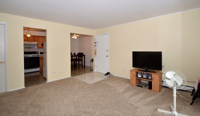 10320 South Ridgeland Avenue, Unit 207 Chicago Ridge, IL 60415 - Photo 4 of 19