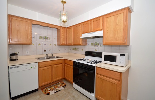 10320 South Ridgeland Avenue, Unit 207 Chicago Ridge, IL 60415 - Photo 6 of 19