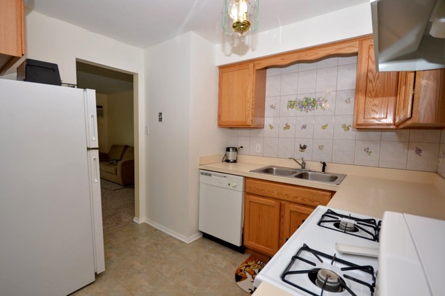 10320 South Ridgeland Avenue, Unit 207 Chicago Ridge, IL 60415 - Photo 7 of 19
