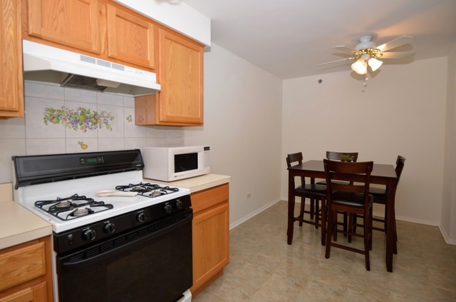 10320 South Ridgeland Avenue, Unit 207 Chicago Ridge, IL 60415 - Photo 8 of 19