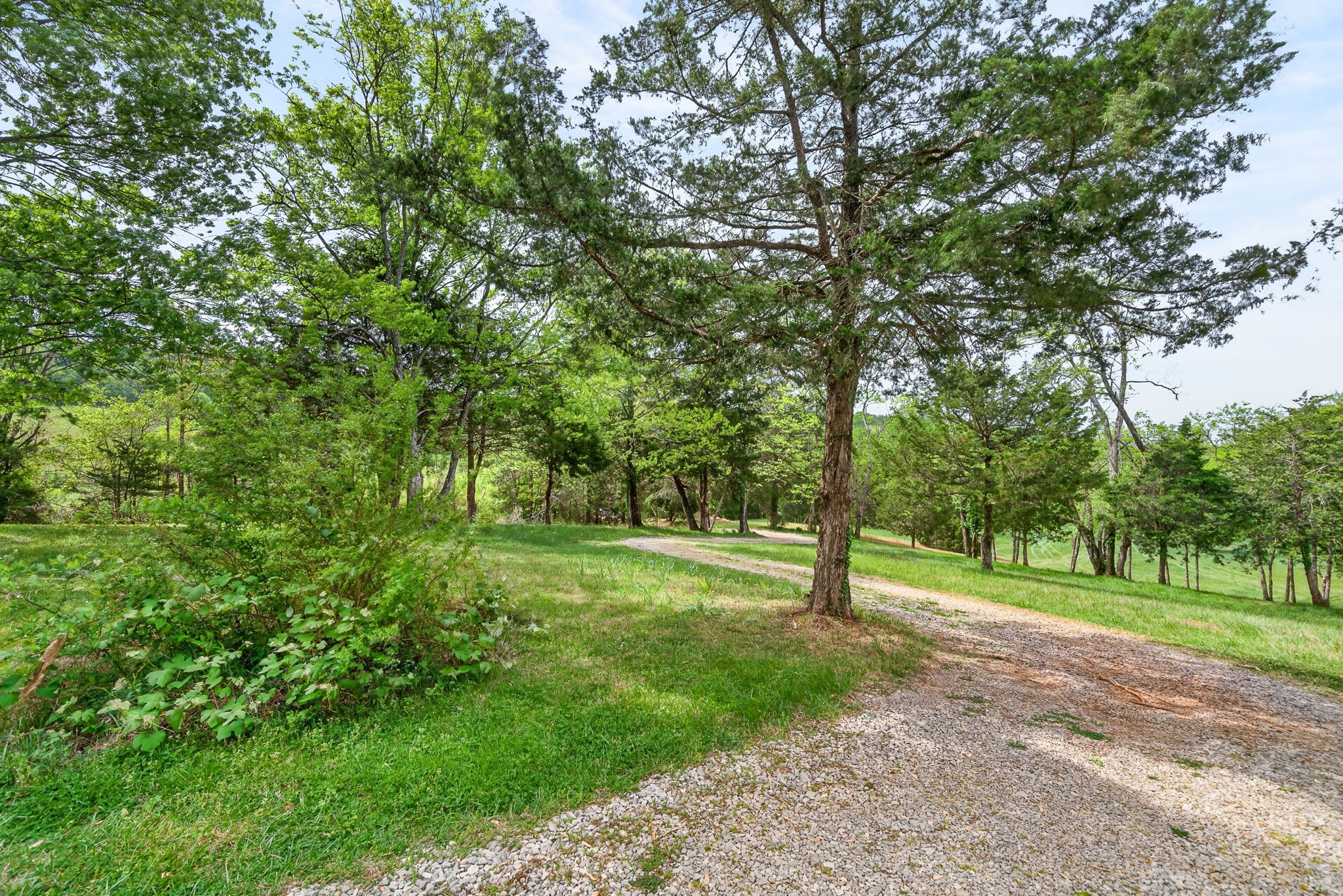 7400 Franks Ferry Road Walling, TN 38587 - Photo 28 of 55 a view of outdoor space with deck and yard