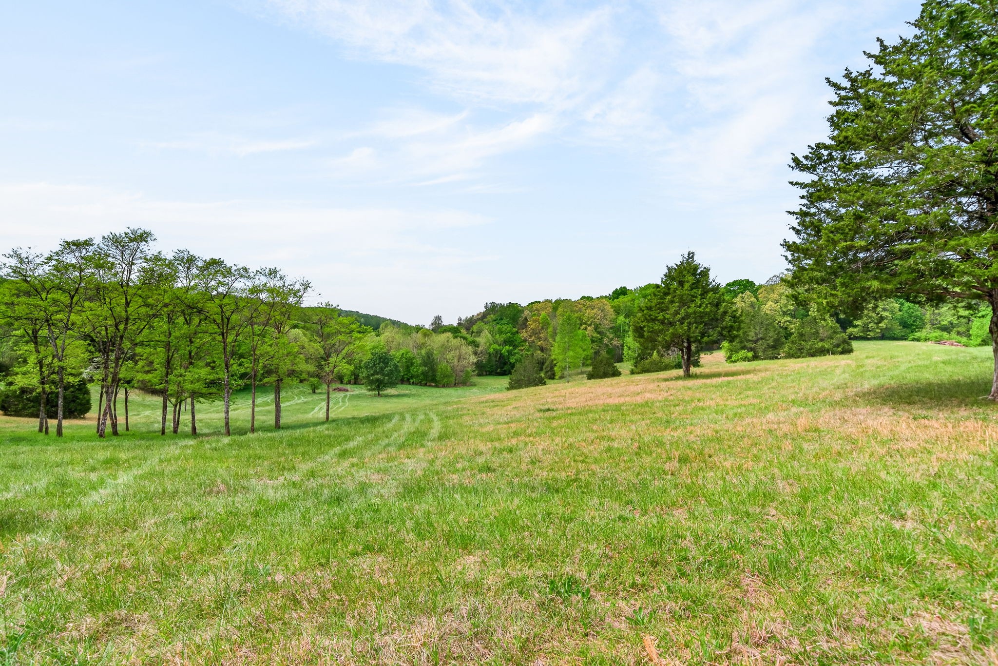 7400 Franks Ferry Road Walling, TN 38587 - Photo 41 of 55 a view of grassy field with trees