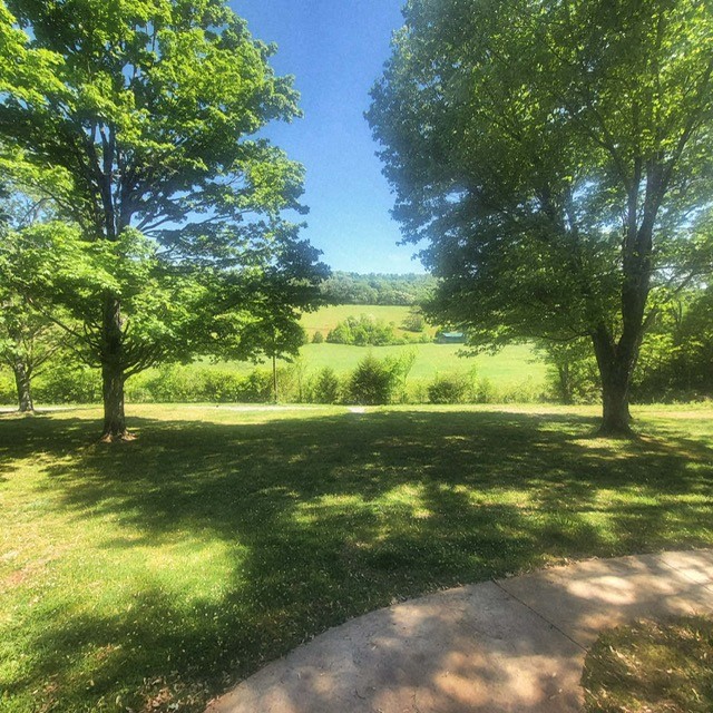 7400 Franks Ferry Road Walling, TN 38587 - Photo 46 of 55 a view of a trees with a big yard