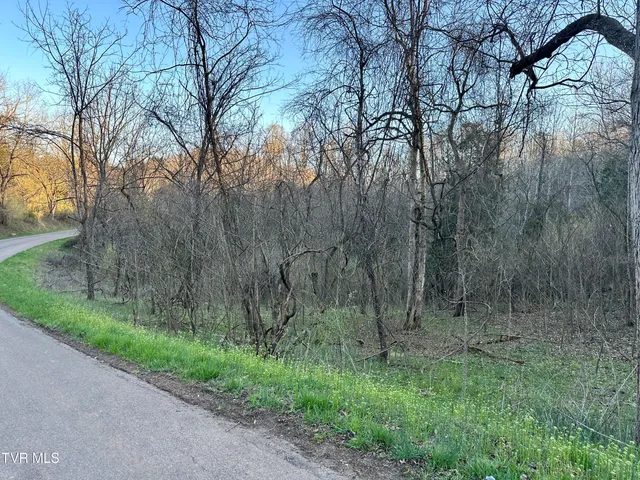 $300,000 | Tbd Cassells Chapel Road, Dungannon, VA 24245