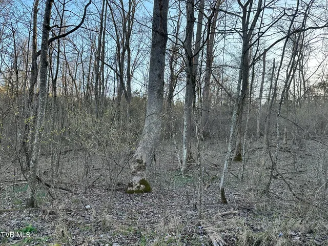 $300,000 | Tbd Cassells Chapel Road, Dungannon, VA 24245