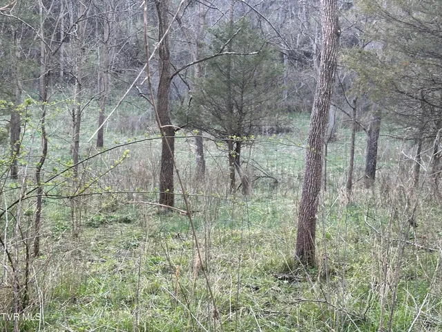 $300,000 | Tbd Cassells Chapel Road, Dungannon, VA 24245