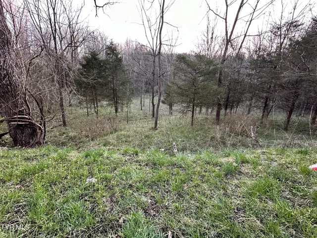 $300,000 | Tbd Cassells Chapel Road, Dungannon, VA 24245