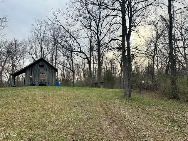 $300,000 | Tbd Cassells Chapel Road, Dungannon, VA 24245