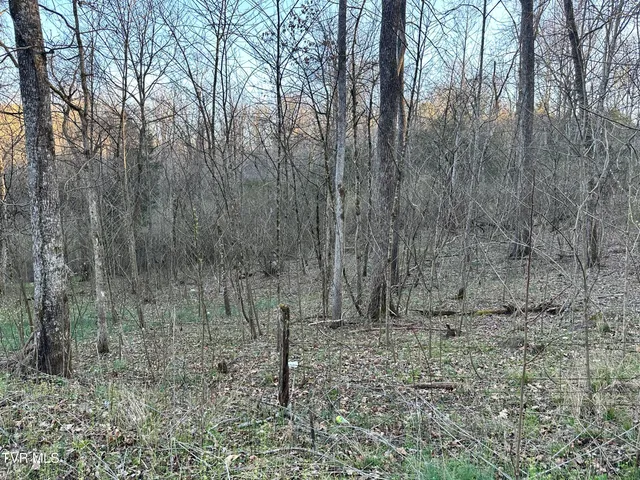 $300,000 | Tbd Cassells Chapel Road, Dungannon, VA 24245