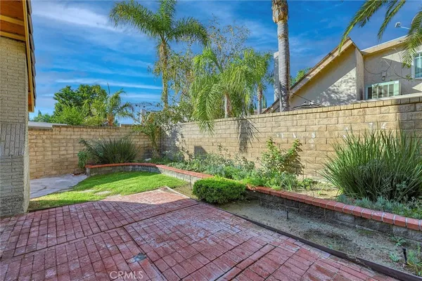 a view of a backyard with plants
