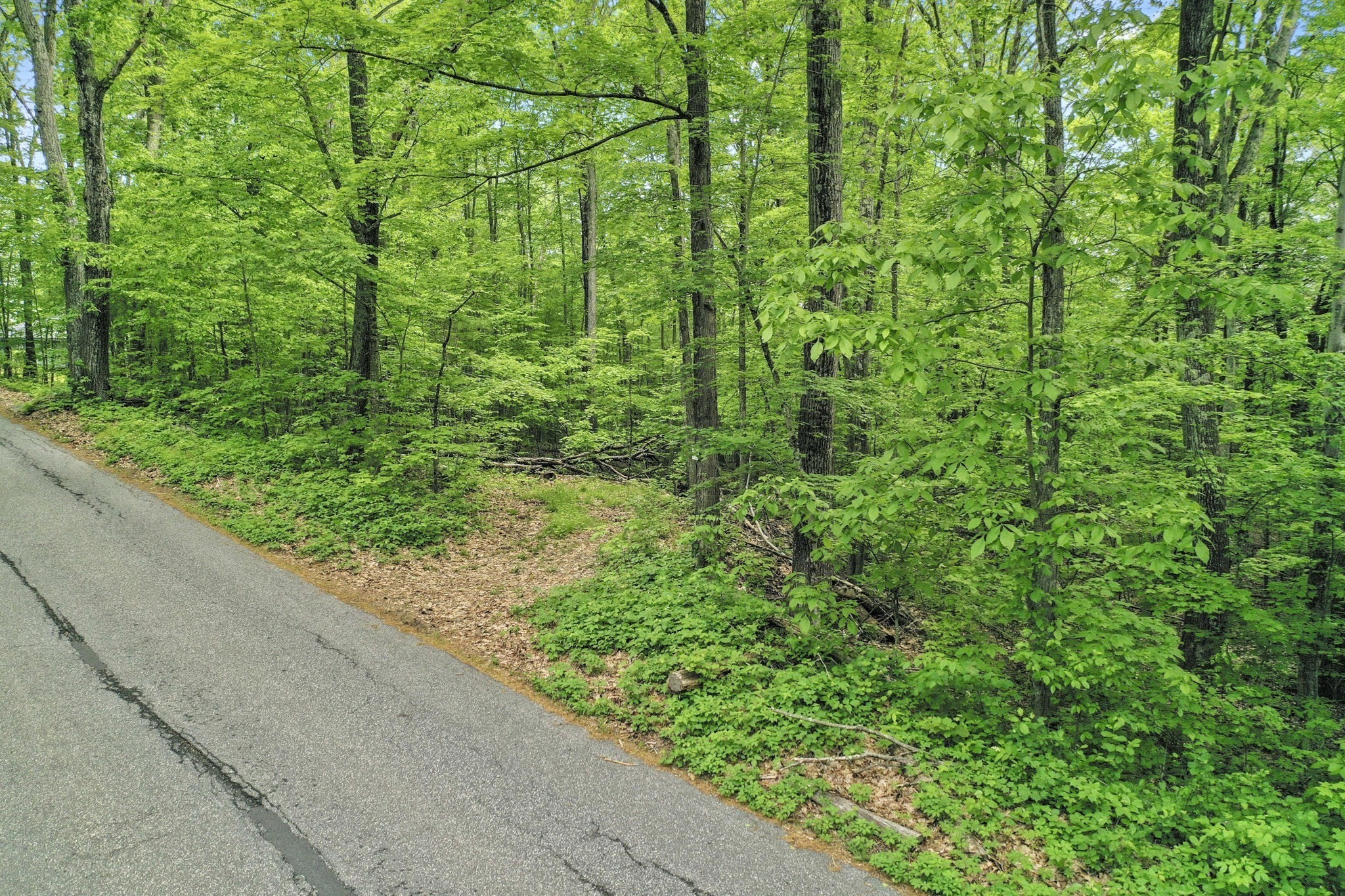 0 Vinton Road Sturbridge, MA 01566 - Photo 2 of 10 Gallery Image 2