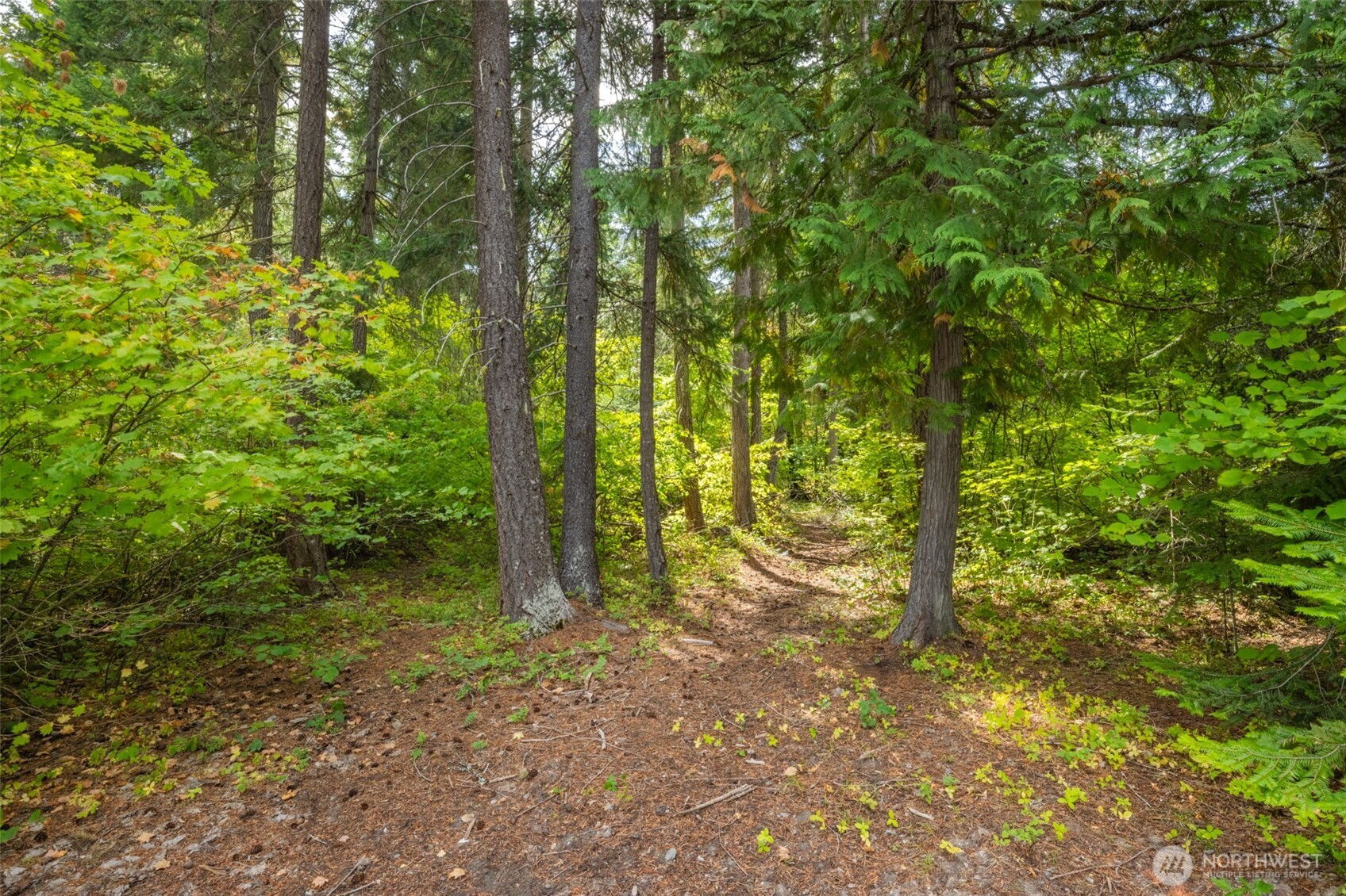 1850 Timber Mountain Loop Cle Elum, WA 98922 - Photo 13 of 30
