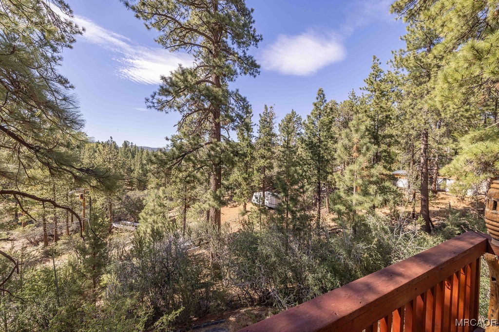 44185 Tim Ron Sugarloaf, CA 92386 - Photo 40 of 45 a view of a forest from balcony