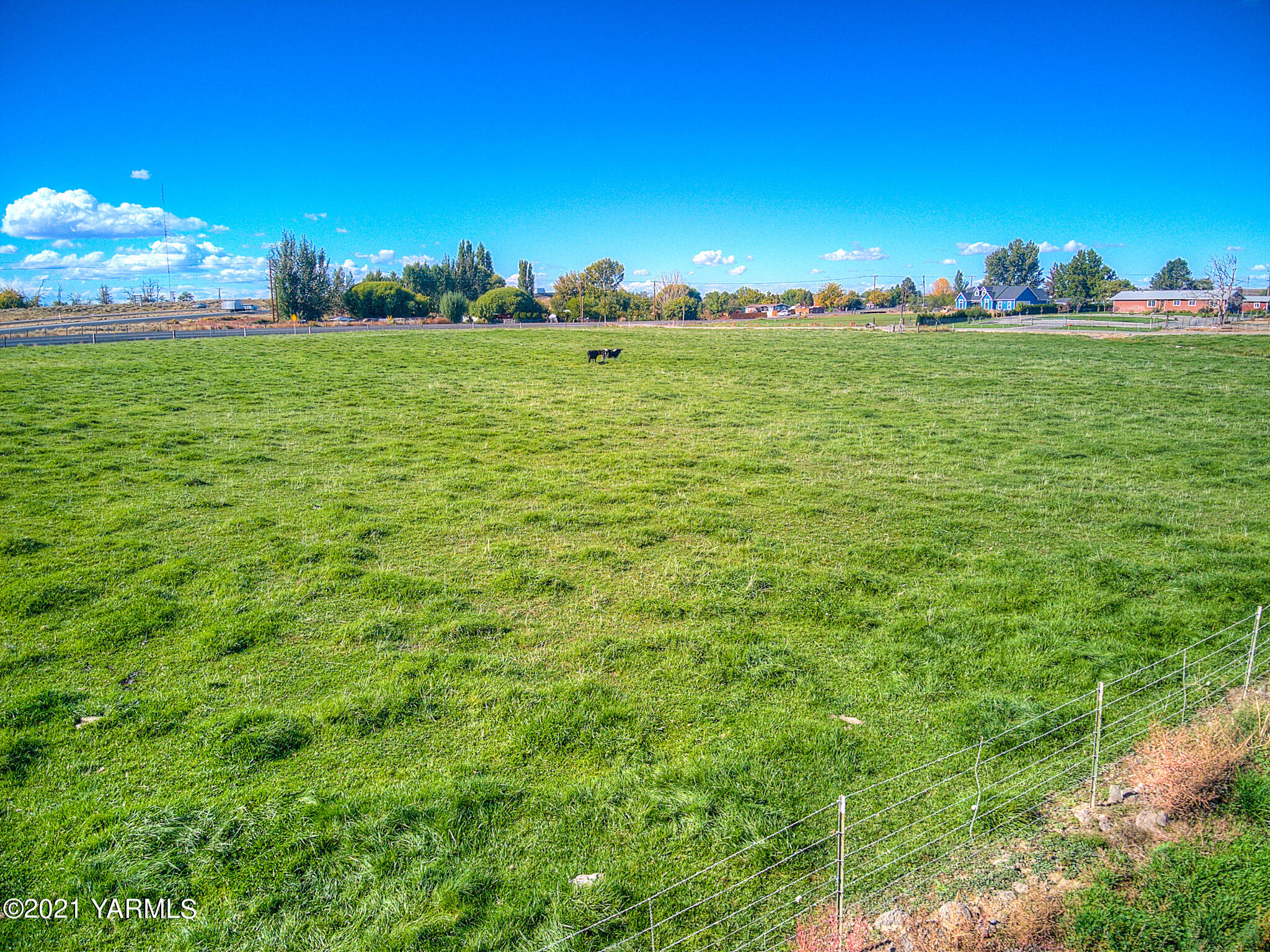 Nka North Missimer Road North Prosser, WA 99350 - Photo 4 of 11 a view of a big yard of a large tree