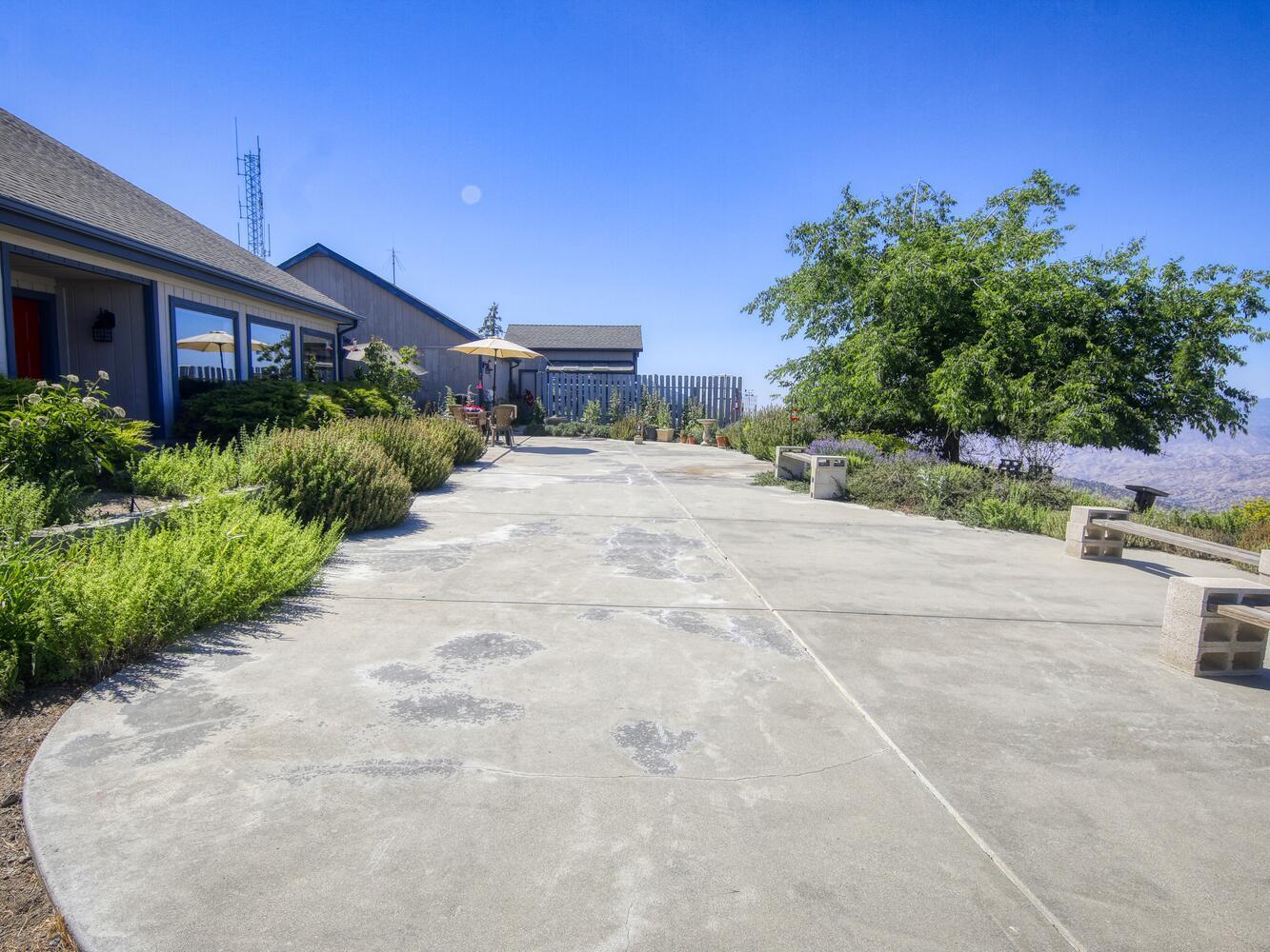23760 El Rancho Drive Tehachapi, CA 93561 - Photo 4 of 40 a view of a house with a yard and potted plants