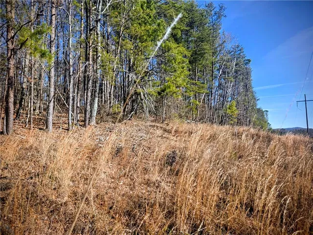 $125,000 | 3 Cowart Mountain Road, Jasper, GA 30143