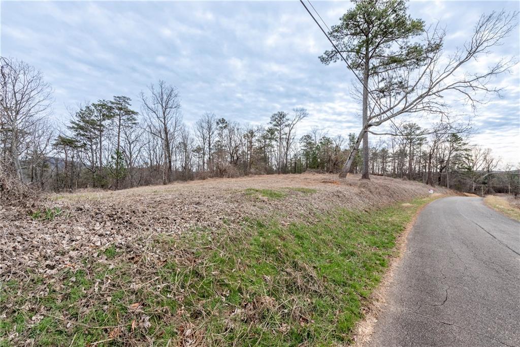 3 Cowart Mountain Road Jasper, GA 30143 - Photo 4 of 25