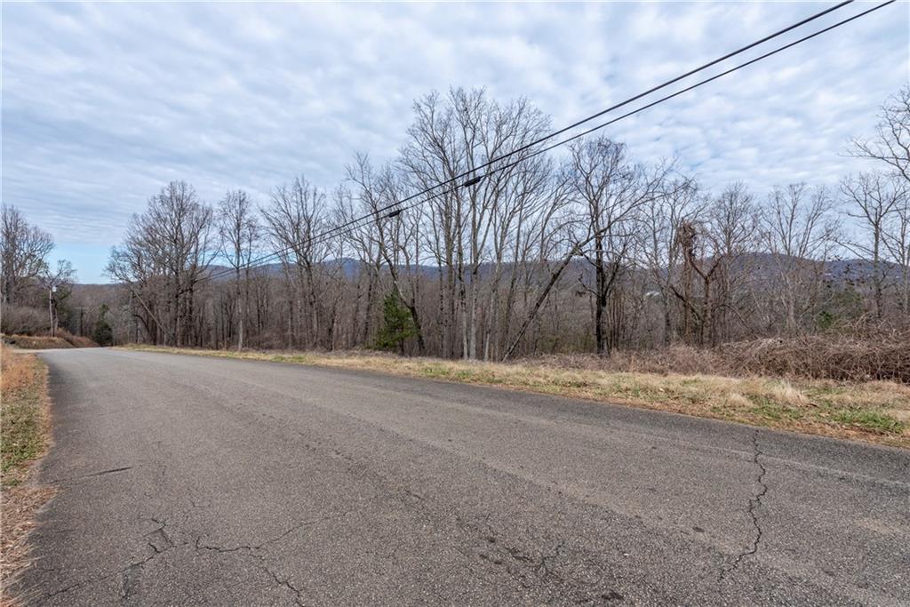 3 Cowart Mountain Road Jasper, GA 30143 - Photo 6 of 25