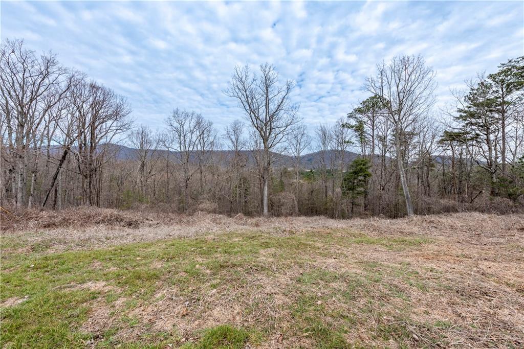 3 Cowart Mountain Road Jasper, GA 30143 - Photo 7 of 25
